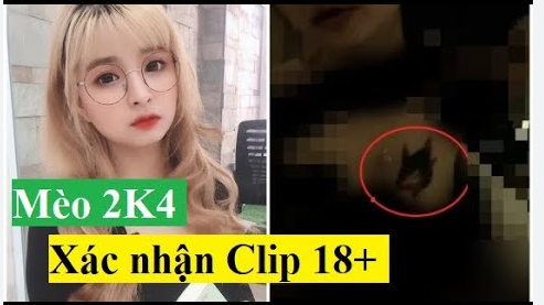 Lộ Video Sex Mèo 2k4 Với Người Yêu